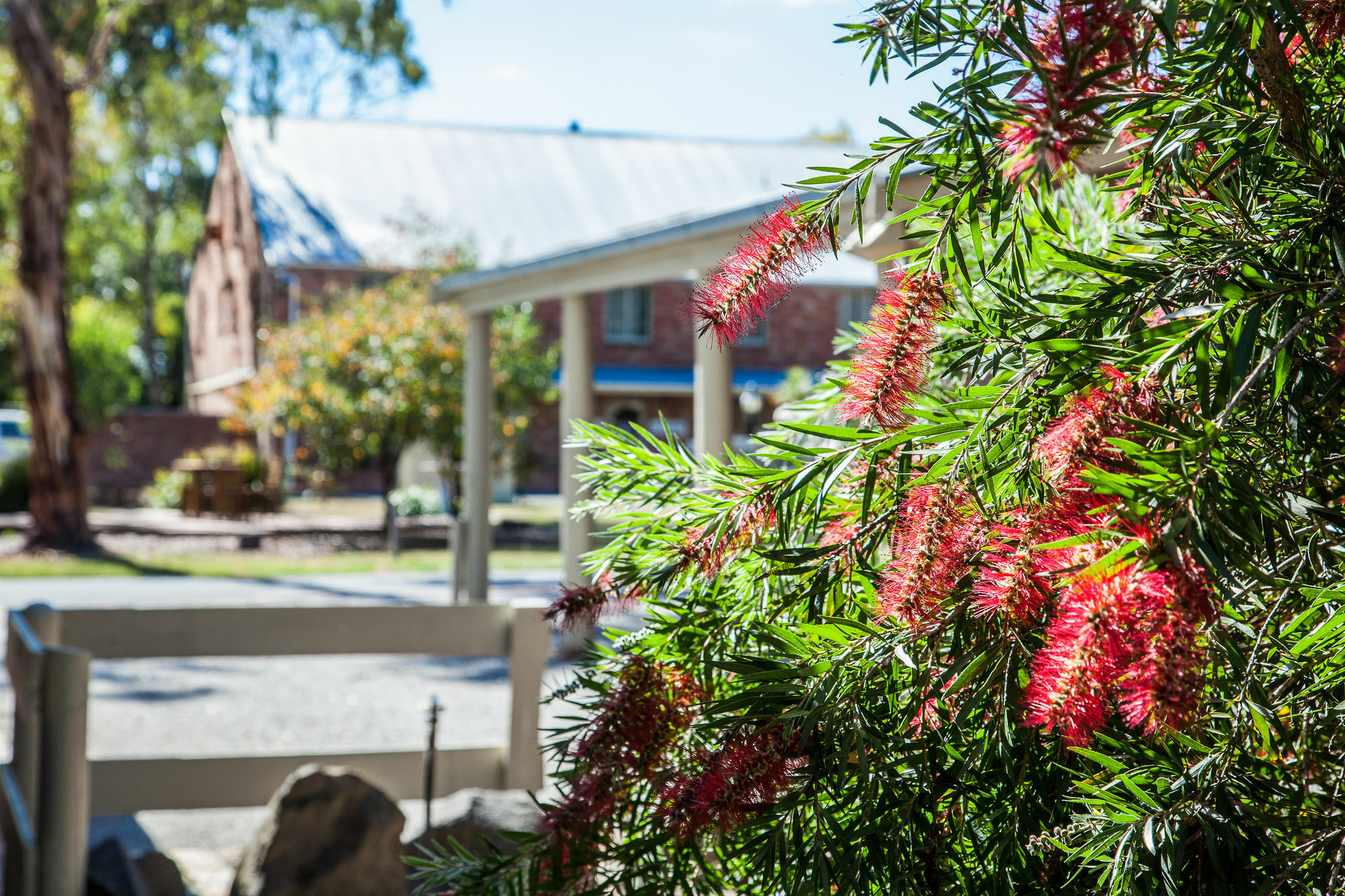 Mercure Ballarat Hotel & Convention Centre Εξωτερικό φωτογραφία
